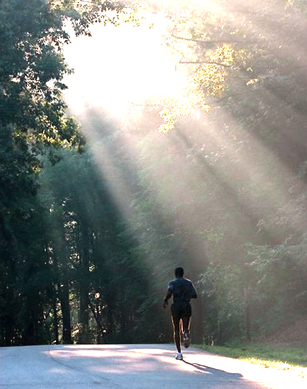 Joyce Bloem Leefstijlcoach - Beweging